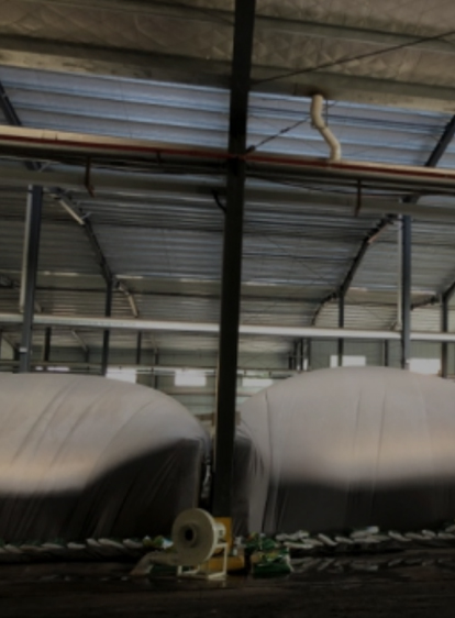 PA尊龙凯时 - 人生就是搏!